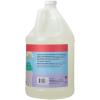 Ginger Lily Farms Botanicals Plant-Based Liquid Dish Soap, Concentrated Formula with Max Grease Cleaning Power, Cruelty-Free, Apple Pear Scent, 1 Gallon Refill (128 Fl. Oz.) view 2