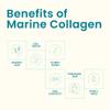 EarthNutri - Wild Caught Marine Collagen Powder - Supplement for Skin, Hair & Nails - Enhances Skin Elasticity & Hydration - Hydrolyzed Collagen Peptides - Non-GMO - Ocean Breeze - 30 Sticks (1Pack) view 2