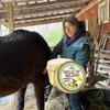 Balm of Gilead Herbal Salve Jar 2 Pak Balsamo pomada herba calmar el Dolor Creation Farm view 4