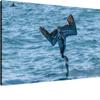 Canvas Wall Art for Living Room Bedroom Diving Anchovies Big Large Wall Art Decor Framed Painting Wall Pictures Prints Artwork Office view 1