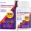 300 Billion AFU Akkermansia Probiotic | supplement for Women & Men, Akkermansia Muciniphila for Akkermansia, Digestive, Gut, Immune, Enhances Gut Digestive Lining function, Akka Superbiotics - 60 Caps view 1
