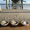 82 Minerals French Grey Sea Salt | Premium Hand-Harvested Sel Gris | 4oz Fine Mineral & Electrolyte Finishing Salt view 3