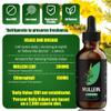 YUMOYI Spruce JIYIN Mullein Leaf Extract - Support Lung Cleanse & Respiratory Function for Healthy Breathing - Natural Supplement, Tincture Drops | Non-GMO, Vegetarian | 1 Month Supply view 3