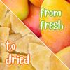 Dried Mango Slices by Its Delish, 30 OZ Jumbo Reusable Container | Candied Dried Fruit | Natural Flavor, Sweetened & Low Sugar, No Color Added | Dry Mango Candy Healthy Snacks | Vegan, Kosher view 2