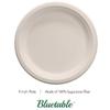 Compostable Paper Plates 9 Inch Bulk Plates [500 Case Pack] - Biodegradable Made from 100% Sugarcane - Heavy Duty Disposable - Eco Friendly - Bagasse Dinner Plates Natural Recycled Plate [500 Case] view 2