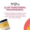 Roots Focus Brain Supplement - Nootropic Mushroom Supplement Powder for Memory, Focus, Energy - Lion's Mane, Cordyceps, and Reishi Mushrooms with Caffeine - Fruit Punch, 9oz Tub (50 Servings) view 4