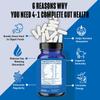 4-in-1 Pre Post Probiotics & Digestive Enzymes - Complete Gut Health & Digestive Support for Women & Men - Prebiotic Probiotic & Postbiotic Gas & Bloating Relief  60 Non GMO Capsules view 2