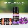 A CENTER Essential Oils Set Created for Humidifiers and Diffusers, Aromatherapy Diffuser Oils Scents, Essential Oil Kit for Home Use, Essential Oil Pack with Various Scents8X10ML view 4
