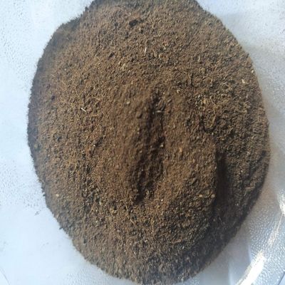 Ayurvem Hebs Babool Bark Powder - Kikar Chaal Powder - Babool Chhal Powder - Acacia Tree Bark Powder - Vachellia Nilotica Powder 200 Gram