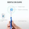 Avistar Dental Hygiene Essentials Pack - 208 Medium-Soft Bulk Toothbrushes with Cover Caps & 450 Travel Floss Picks - 4 Colors - Individually Wrapped Convenient Oral Hygiene Kit view 3