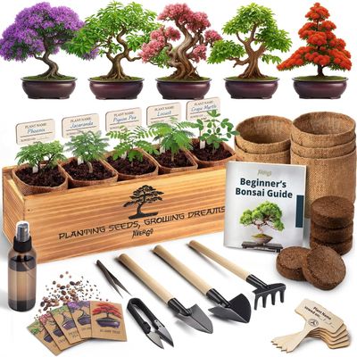 AVERGO Bonsai Tree Kit Classic - 5X Unique Japanese Bonzai Trees | Complete Indoor Bonsai Starter Kits for Growing Trees DIY Gardening Gifts for Mother, Women & Men