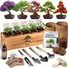 AVERGO Bonsai Tree Kit Classic - 5X Unique Japanese Bonzai Trees | Complete Indoor Bonsai Starter Kits for Growing Trees DIY Gardening Gifts for Mother, Women & Men view 1