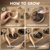 AVERGO Bonsai Tree Kit Classic - 5X Unique Japanese Bonzai Trees | Complete Indoor Bonsai Starter Kits for Growing Trees DIY Gardening Gifts for Mother, Women & Men view 3