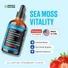 Ashwagandha & Turmeric Liquid Drops - Vitamin C, Sea Moss, Apple Cider Vinegar, Bladderwrack - Vegan Liquid Drops for Comprehensive Wellness Support & Vital Immunity (Strawberry Ginger Lemonade, 60mL) view 2