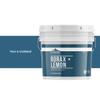 Earthborn Elements Borax with Lemon Oil, 1 Gallon Bucket, Laundry Booster, Refreshing Scent, Bulk Size view 4