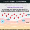 PODEC Terahertz Blower Device, Terahertz Therapy Devices THZ Blower Wand, 2 Levels of Wind Adjustment, Open Up Circulation Within The Body, Dredge The Meridians, Helps The Body Repair Itself view 4