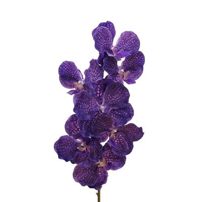 HXSCOO Simulated Flower Feel Vanda Orchid Wedding Home Decoration Flower Arrangement Orchid Corsage Hand Bouquet (Color : Purple Blue)