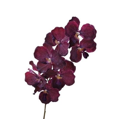 HXSCOO Simulated Flower Feel Vanda Orchid Wedding Home Decoration Flower Arrangement Orchid Corsage Hand Bouquet (Color : Black Purple)