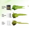 Matcha Powder,Premium Ceremonial Grade Matcha Powder,100% First Harvest Unsweetened Matcha Green Tea Powder,(40g/1.4oz)Tin view 4