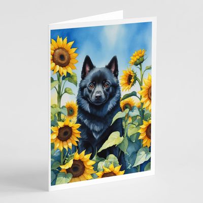Caroline's Treasures Schipperke in Sunflowers Greeting Cards Pack of 8 Blank Cards with Envelopes Whimsical A7 Size 5x7 Blank Note Cards