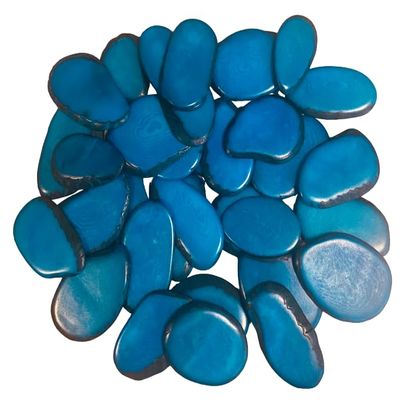 Blue tagua nut Thin Slices in Small Size from Choco Colombian Rainforest. 3 x 2 cm. Vegetable Pure nut. Pack of 30 Pieces. Undrilled.