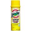 LiteZout Easy-Off Professional Oven & Grill Cleaner, 24oz cans (2 pack) view 1