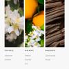 Aroma360 | Blue Diffuser Oil Blend | Luxury Essential Aromatherapy Reed Diffuser | Blue Cedar, Lavender and Eucalyptus | 6.7 fl oz 200mL view 4