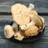 Hedgehog Mushrooms view 3