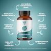 Layer Origin Akkermansia muciniphila Probiotic, Live + Pasteurized Akkermansia with PureHMO Prebiotic, Validated Strain, Updated 4-in-1 Formula view 2