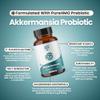 Layer Origin Akkermansia muciniphila Probiotic, Live + Pasteurized Akkermansia with PureHMO Prebiotic, Validated Strain, Updated 4-in-1 Formula view 4