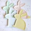 AUPLEX 80PCS Disposable Easter Bunny Paper Plates, Safe and Reusable For Everyday Breakfast, Lunch, & Dinner Meals view 4