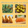 Chewy Sour Fruit Snack, Natural Southern Sour Jujube Fruit Bites, Sweet & Tart Fruit Candy, Individually Wrapped, Vegan, Rich in Vitamin C, Healthy Chinese Snack Candy, 208g/7.3oz(Low Sugar) view 3