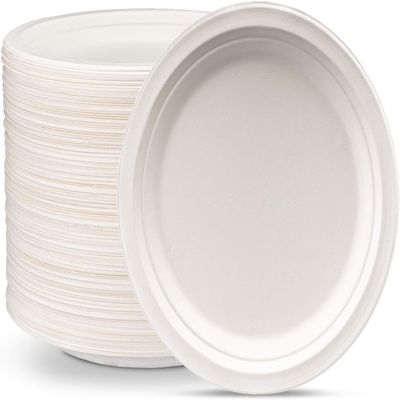 100 Pack 9-inch 100% Compostable Heavy-Duty Paper Plates Eco-Friendly Disposable Sugarcane Plates (100 Pack) (100 Pack)