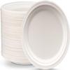 100 Pack 9-inch 100% Compostable Heavy-Duty Paper Plates Eco-Friendly Disposable Sugarcane Plates (100 Pack) (100 Pack) view 1