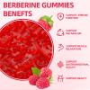 GrnLife Berberine Gummies with Ceylon Cinnamon 1500mg High Potency Berberine HCL Supplement for Immune and Metabolism Support, Sugar Free, Raspberry Flavor - 120 Count view 4