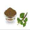 BSD Organics Karunthulasi Powder/Black Tulsi Powder/Krishna Thulasi/Ocimum Sanctum/Shayama Leaves Tulasi Powder - 100 Gm/Oz view 2