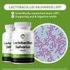 Lactobacillus Salivarius Probiotic Supplement 240 Tablets 3 Billion CFU Probiotics for Men & Women Supports Dental, Digestive & Gut Health (240, Lactobacillus Salivarius) view 2