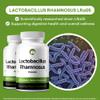 Lactobacillus Rhamnosus Probiotic Supplement 240 Tablets 3 Billion CFU Probiotics for Men & Women Supports Intestinal Digestive & Gut Health (240, Lactobacillus Rhamnosus) view 2