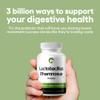 Lactobacillus Rhamnosus Probiotic Supplement 240 Tablets 3 Billion CFU Probiotics for Men & Women Supports Intestinal Digestive & Gut Health (240, Lactobacillus Rhamnosus) view 3