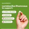 Lactobacillus Rhamnosus Probiotic Supplement 240 Tablets 3 Billion CFU Probiotics for Men & Women Supports Intestinal Digestive & Gut Health (240, Lactobacillus Rhamnosus) view 4