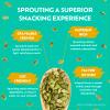 Go Raw Organic Sprouted Sweet & Salty Kettle Snacking Seeds, 4 oz, 6 Pack, Pumpkin & Sunflower Seeds, Keto, Kosher view 4