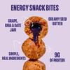 Smash Foods Grape Energy Bites | 5 Gluten-Free Vegan Snack Balls with No Sugar Added | 8g Protein, Superfood Jam, Chia Seeds | On-the-Go Convenience | Peanut Butter & Grape | 8 Packs view 2
