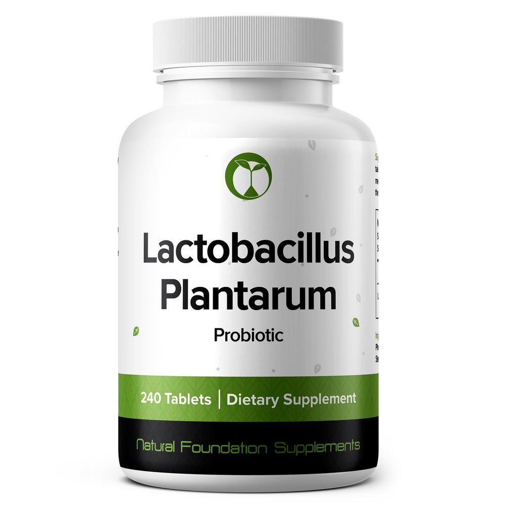 Lactobacillus Plantarum Probiotic Supplement 240 Tablets 3 Billion CFU Probiotics for Men & Women Supports Intestinal Digestive & Gut Health (240, Lactobacillus Plantarum)