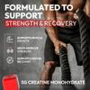 Sugar Free Creatine Monohydrate Gummies 5g Per Serving - 120 Monohydrate Creatine Gummies Advanced Complex with Vitamin C + Vitamin B12 for Muscle Strength, Energy Boost, Pre-Workout Gummy view 3