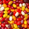 300 Pcs Fall Candy Jelly Beans Autumn Mix (12oz) view 1