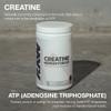 RAW Nutrition Creatine Monohydrate Powder, Unflavored (100 Servings) - Micronized Creatine Monohydrate Supplement for Workout Performance, Build Muscle & Strength - Creatine Powder for Men & Women view 3