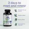 Zhou 3 Day Renew - Probiotics for Digestive Health, Probiotics for Men and Women, Gut Health & Natural Reset Support Supplement with Ginger and Aloe - 27 Veg Caps view 3