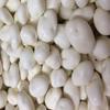 Bayside Candy Yogurt Covered Raisins | Yogurt Raisins | Yogurt Coated Raisins (1LB) view 2