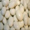 Bayside Candy Yogurt Covered Raisins | Yogurt Raisins | Yogurt Coated Raisins (2LB) view 1