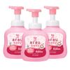 Arau Baby Foam Body Soap Lavender Scent, Natural Plant Based Baby Wash, No Artificial Fragrance or Additives, Gentle for Babys Sensitive Skin, Nourishing and Easy Rinse, 15.21 Fl Oz, 3 Pack view 1